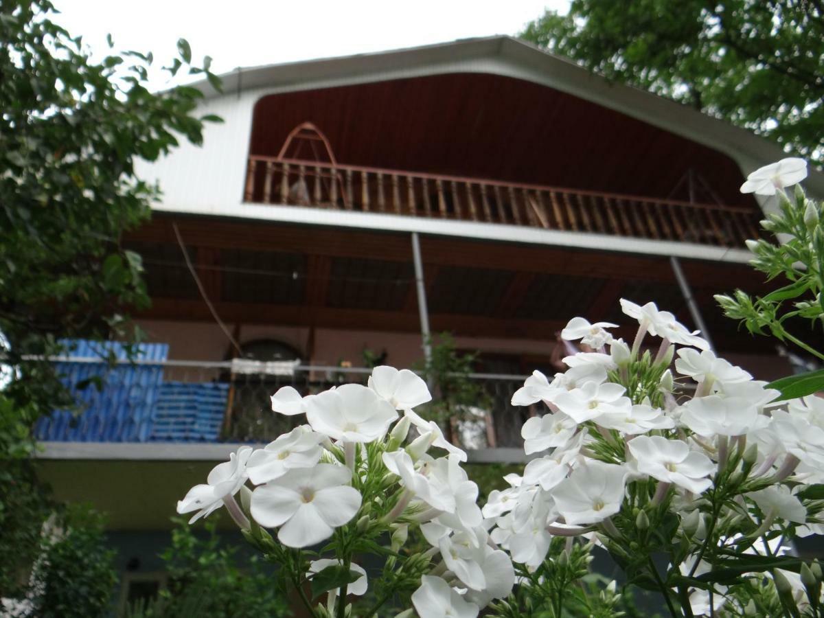 Dalko Hotel Borzsomi Kültér fotó